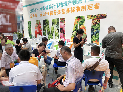新疆，植保會(huì)，拉姆拉，翠姆，伯示麥