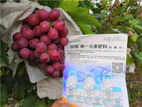 水溶肥，鈣肥，硼肥