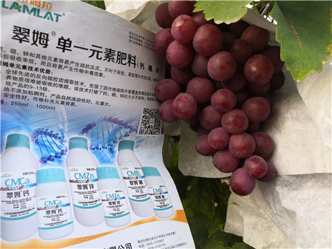 水溶肥，鈣肥，硼肥