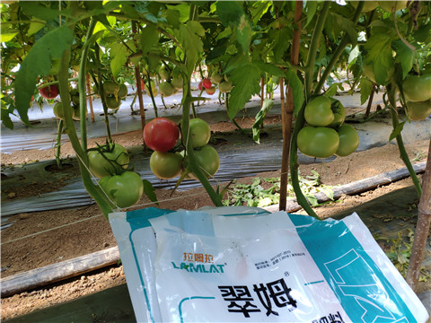 水溶肥，