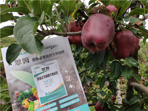 微生物菌劑，