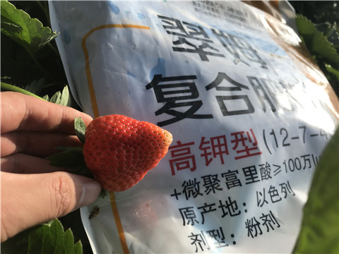水溶，拉姆拉，翠姆