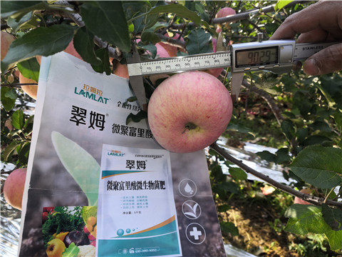 水溶肥，磷酸二氫鉀，微生物菌劑