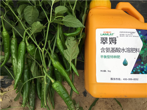 根碧多，微生物菌，葉面肥