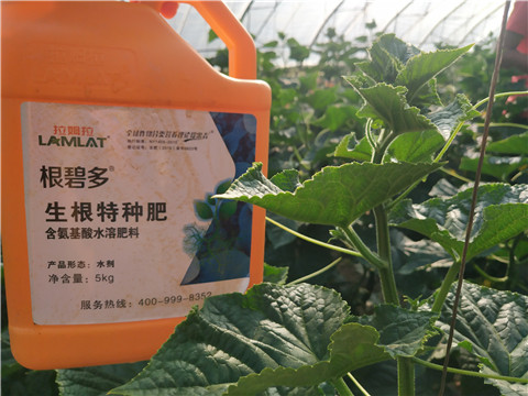 拉姆拉，根碧多，微生物菌劑