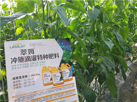 水溶肥，拉姆拉