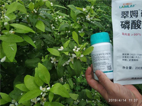 水溶肥，根碧多