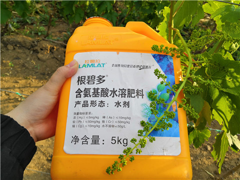 生根劑，微生物菌劑