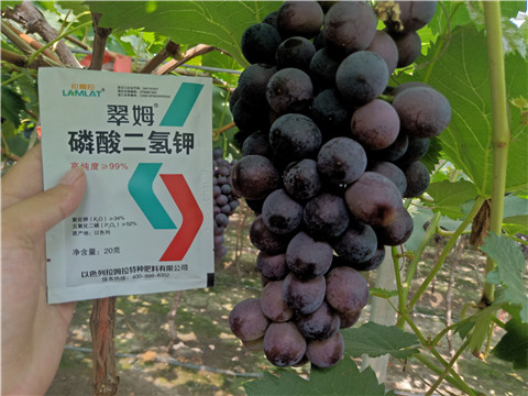 磷酸二氫鉀，葉面肥