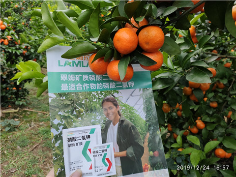 磷酸二氫鉀，鈣肥，硼肥