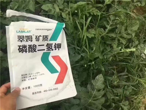 磷酸二氫鉀，硼肥，沖施肥