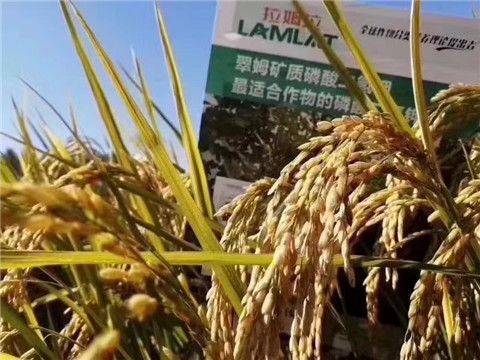 磷酸二氫鉀，翠姆