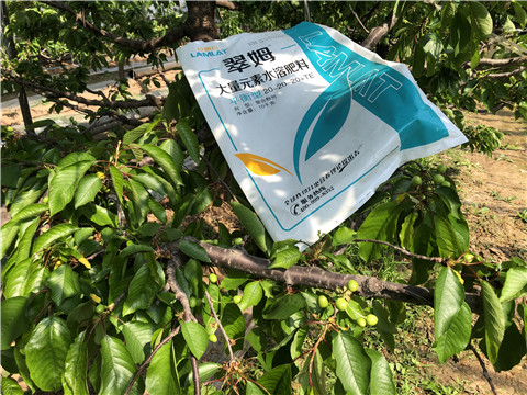 大量元素水溶肥，磷酸二氫鉀，硼肥