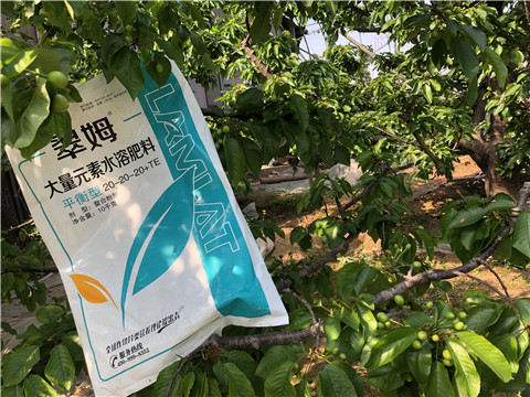 大量元素水溶肥，磷酸二氫鉀，硼肥