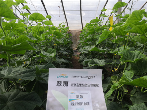 微生物菌劑，拉姆拉