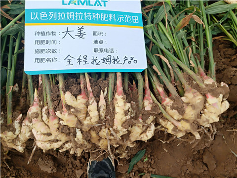 水溶肥，微生物菌劑，拉姆拉