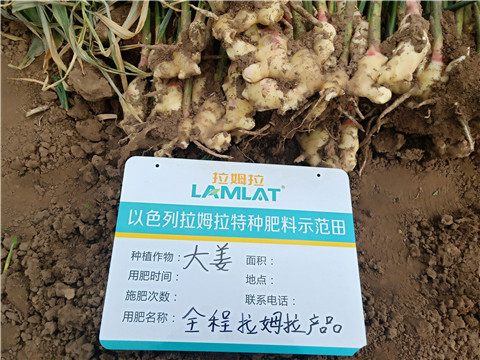水溶肥，微生物菌劑，拉姆拉