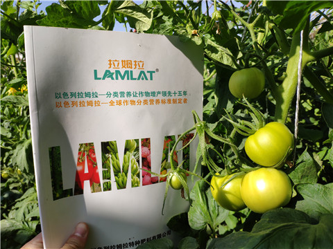 微生物菌劑，拉姆拉，伯示麥