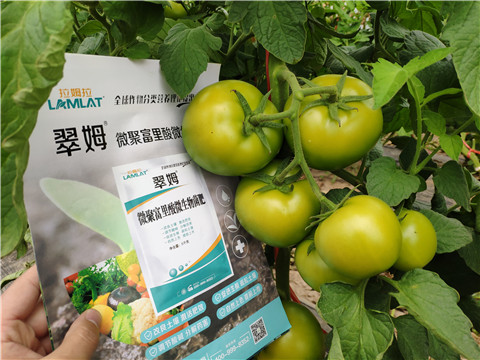 葉面肥，微生物菌劑，磷酸二氫鉀