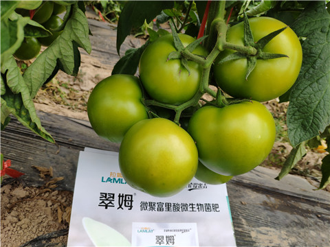 葉面肥，微生物菌劑，磷酸二氫鉀