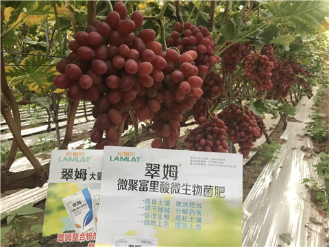 微生物菌劑，硼肥，鈣肥