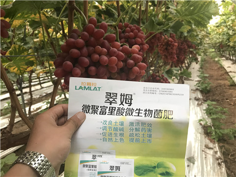微生物菌劑，硼肥，鈣肥