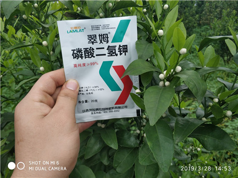 磷酸二氫鉀，硼肥，拉姆拉