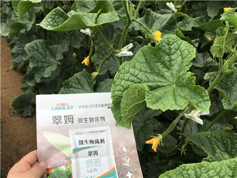 微生物菌劑，水溶肥，拉姆拉