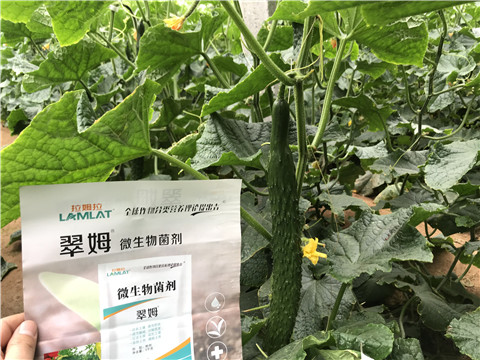 微生物菌劑，水溶肥，拉姆拉
