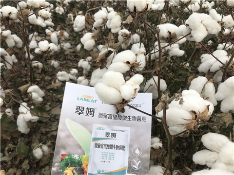 微生物菌劑，根碧多，拉姆拉