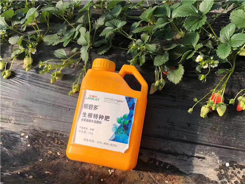 根碧多，微生物菌劑，拉姆拉