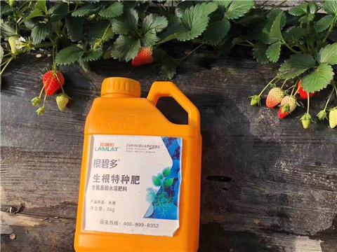 根碧多，微生物菌劑，拉姆拉