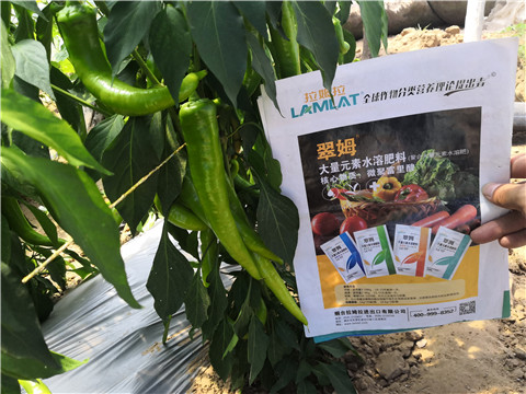 水溶肥，拉姆拉