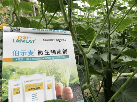 微生物菌劑，生根劑，拉姆拉