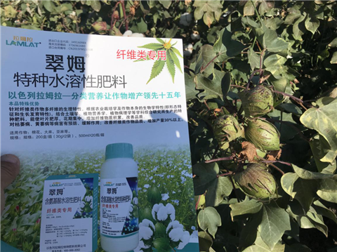 葉面肥，拉姆拉