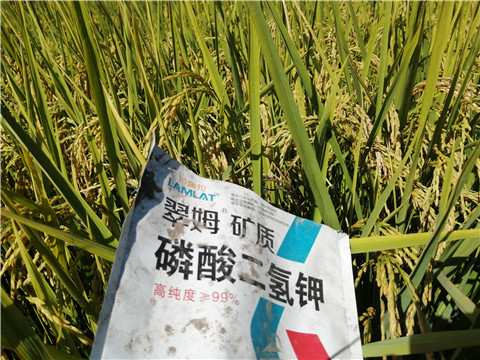 磷酸二氫鉀，翠姆，拉姆拉