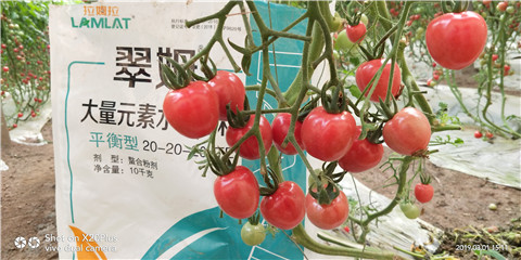 水溶肥，翠姆，拉姆拉