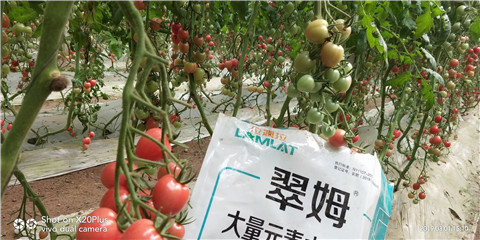 水溶肥，翠姆，拉姆拉