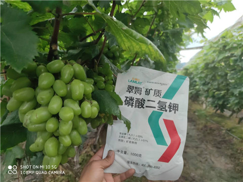 磷酸二氫鉀，拉姆拉