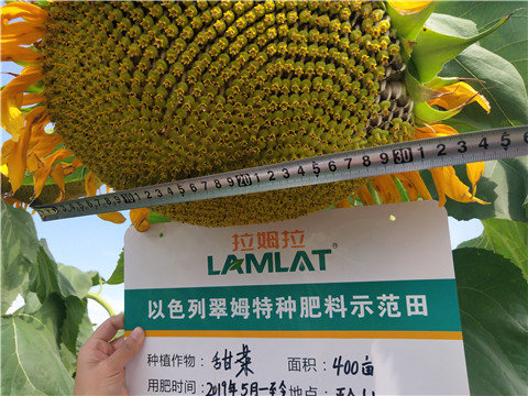 水溶肥，微生物菌劑，拉姆拉