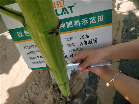 水溶肥，微生物菌劑，拉姆拉