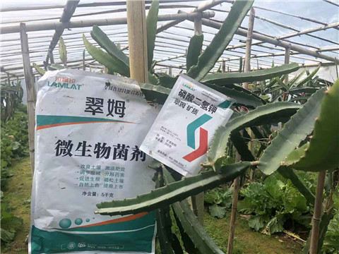 磷酸二氫鉀，翠姆，拉姆拉