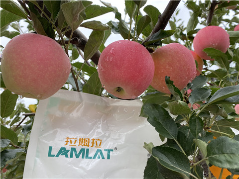 水溶肥，翠姆，拉姆拉