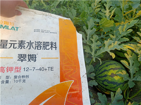 水溶肥，拉姆拉，翠姆