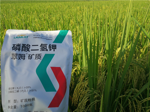 葉面肥，水稻灌漿肥，拉姆拉