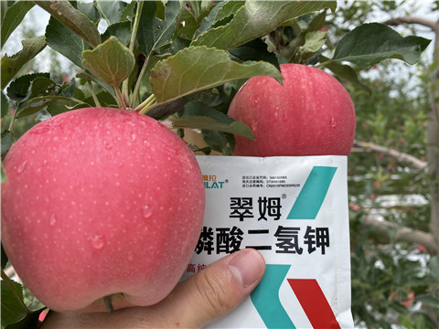 高鉀水溶肥，磷酸二氫鉀，拉姆拉，翠姆