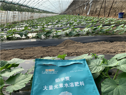 水溶肥，拉姆拉