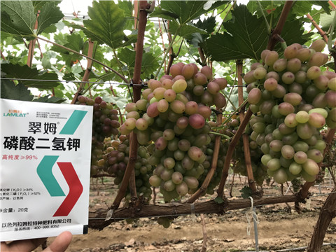進(jìn)口水溶肥，拉姆拉