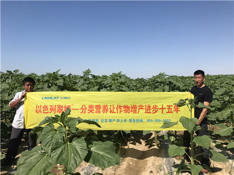 進(jìn)口水溶肥，拉姆拉