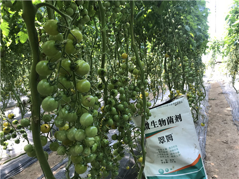 微生物菌劑，磷酸二氫鉀，翠姆，拉姆拉